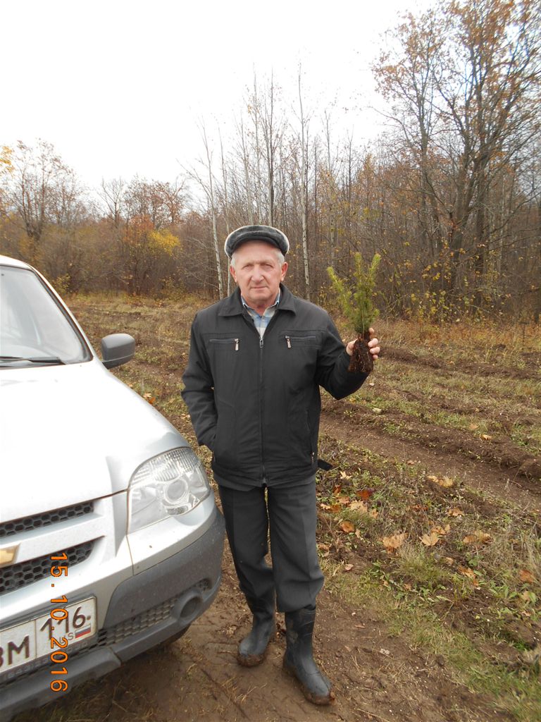 Погода алабердино тетюшского