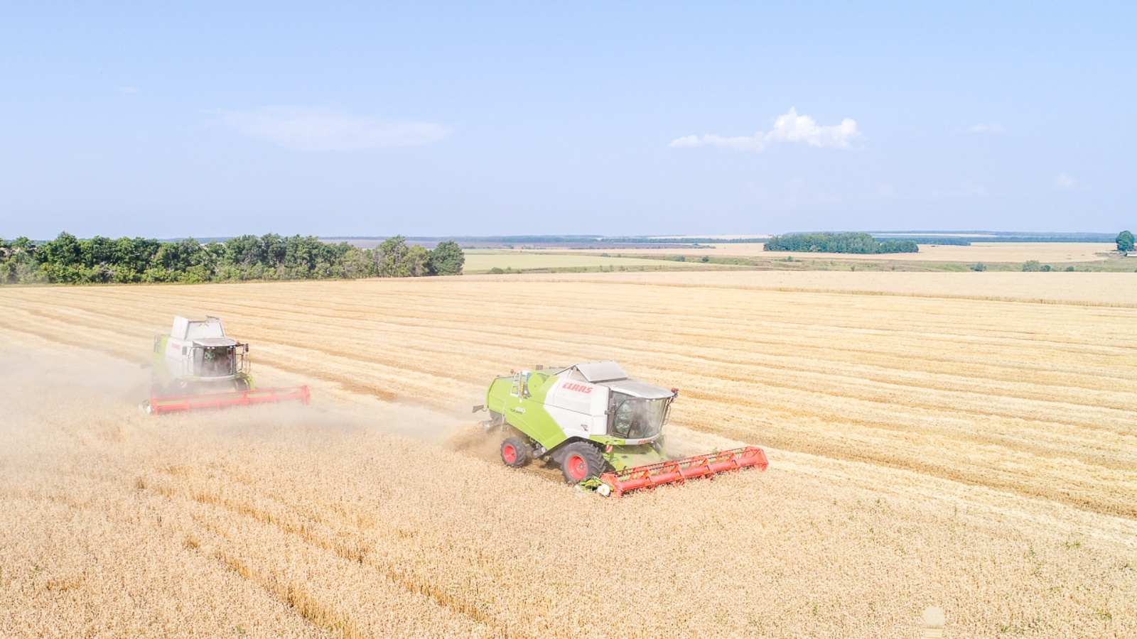 Уборка пшеницы. Уборка зерновых в поле. Уборка урожая. Уборка зерновых. Уборочная страда ростовская область.