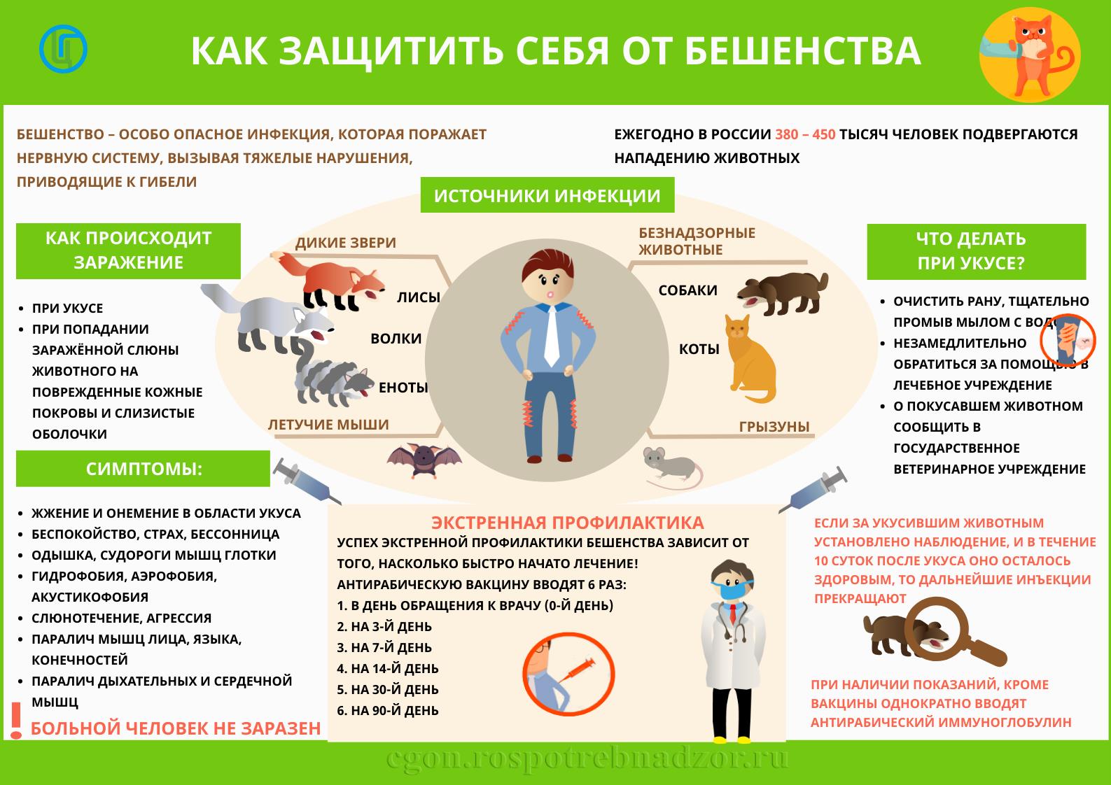 Всемирный день борьбы против бешенства | 21.09.2023 | Тетюши - БезФормата